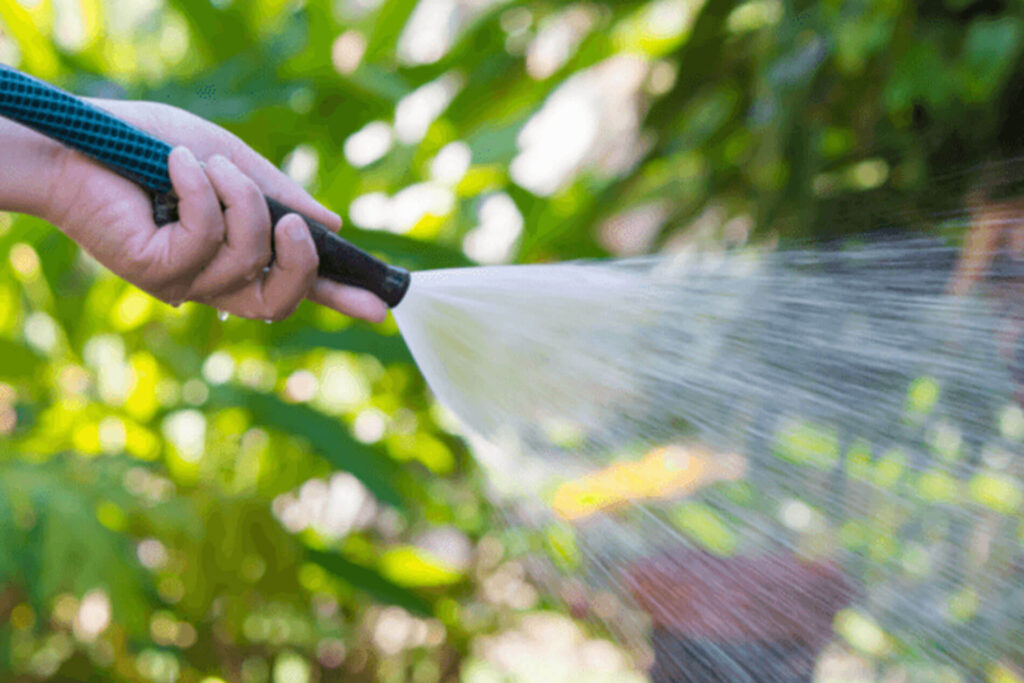 10-consejos-para-cuidar-del-agua--trending-noticias