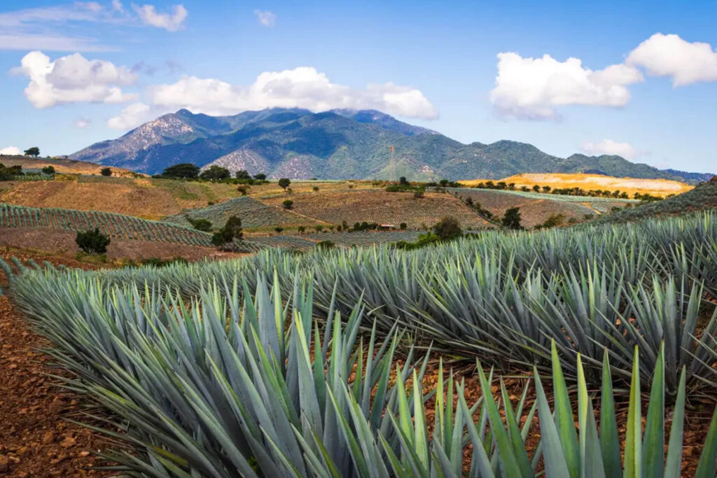 Conoce-todos-los-Pueblos-Magicos-de-Mexico-trending-noticias-turismo