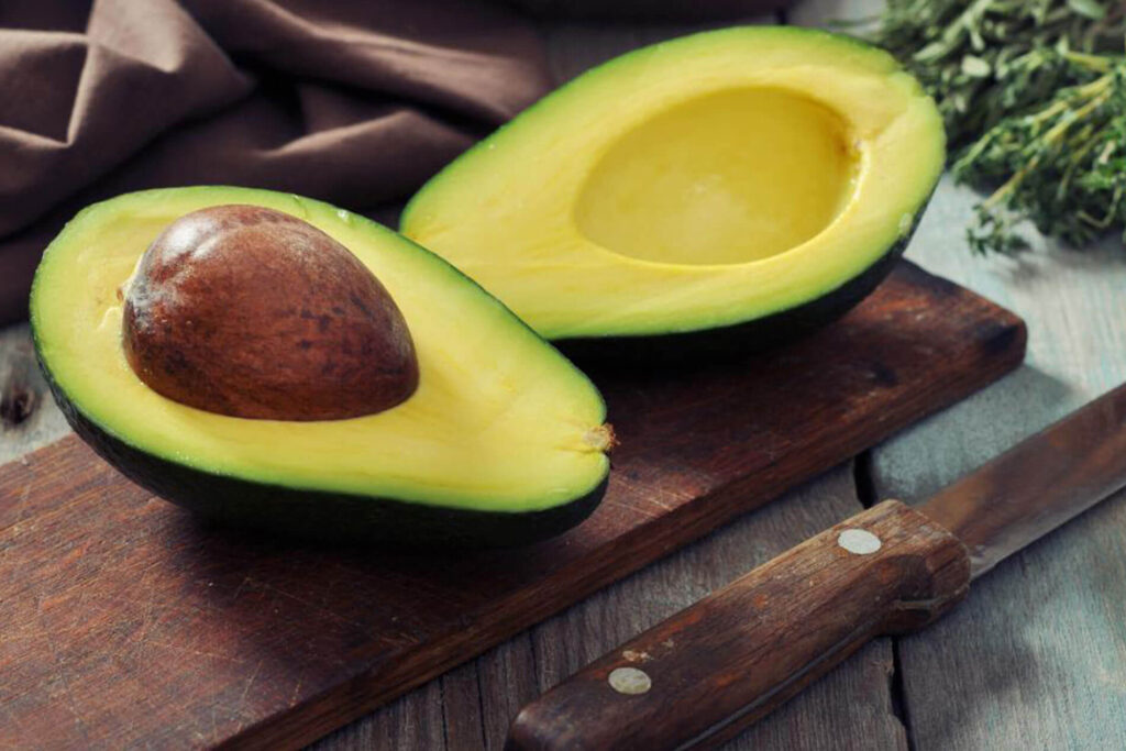 aguacate-Alimentos-prohibidos-para-perros-trending-noticias