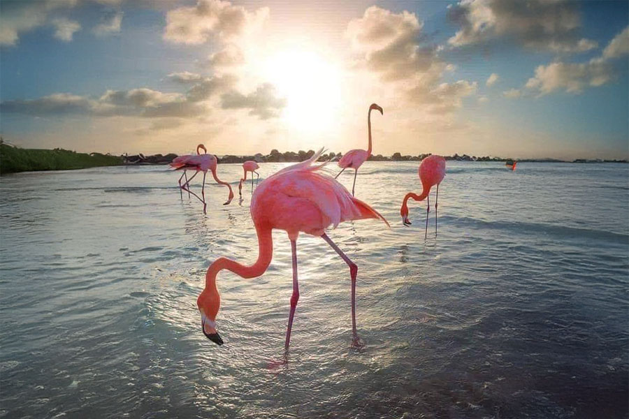 que-visitar-en-el-Pueblo-Magico-de-Sisal-en-Yucatan-trending-noticias